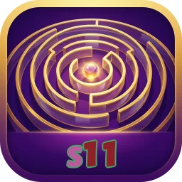 s11